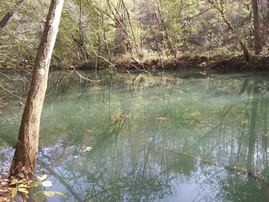 351 Rocky River Rd, Bone Cave, TN 38581 - photo 6