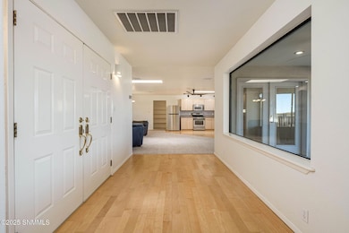 6535 New Mexico 28, La Mesa, NM 88044 - photo 5