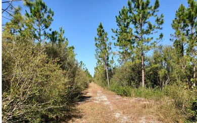 0 SW Spur Rd unit 121583, Lee, FL 32059 - photo 2
