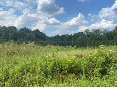 1793 Firetower Rd, Enigma, GA 31749 - photo 5