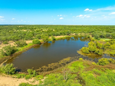 Bird's eye view of a nearby body of water and a forest