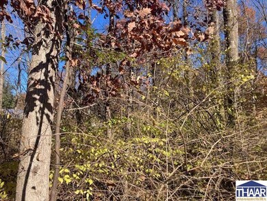 0 S Robinson Place, Sugar Creek Township, IN 47885 - photo 6