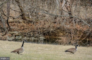 273 Henshaw Rd, Bunker Hill, WV 25413 - photo 4