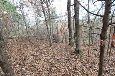 TBD Lazy Brook Rd, Rudy, AR 72952 - photo 4