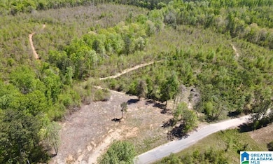 0 Landfill Rd unit 21438392, Ashland, AL 36251 - photo 4