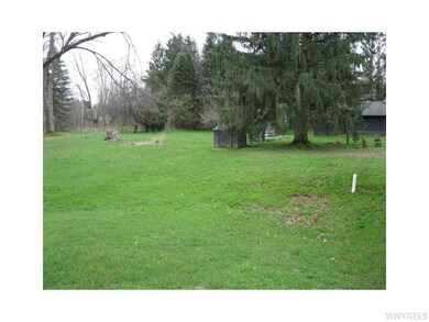 Yard.