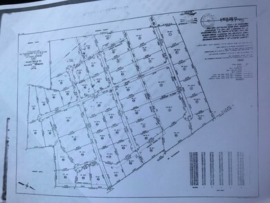 03 - Woodbridge Subdivision Master Plat