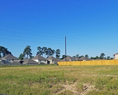 15210 Balmoral Stone Dr, Humble, TX 77396 - photo 6