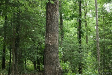 00 Prince George Dr, Prince George, VA 23842 - photo 2