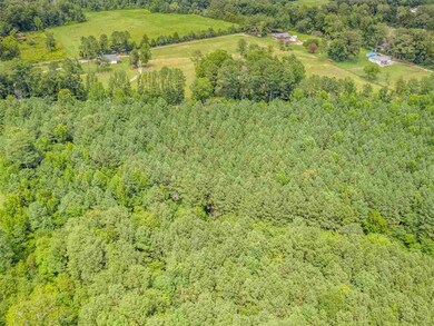 3095 N Carolina 87, Pittsboro, NC 27312 - photo 7