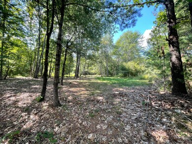 1475 Sokokis Trail, Waterboro, ME 04061 - photo 7