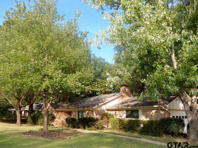 2402 2402 Old Jacksonville Hwy, Tyler, TX 75701 - photo 3