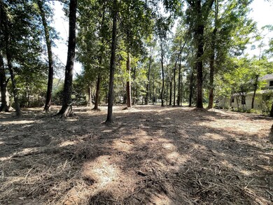 0 Walker Dr, Conroe, TX 77303 - photo 6