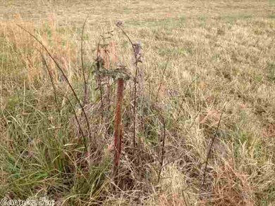 Lot 12/E Cr 339, Jonesboro, AR 72401 - photo 5