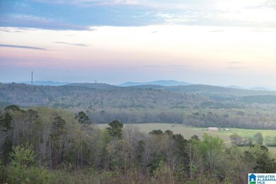 4947 U S 231 unit 5, Vincent, AL 35178 - photo 7