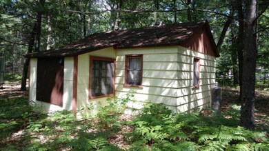 9156 S Taylor, Baldwin, MI 49304 - photo 5