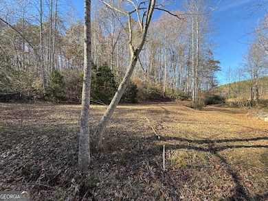 0 Duncan Bridge Rd unit 10645363, Cleveland, GA 30528 - photo 6