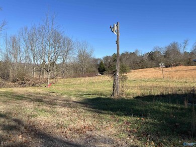 Tract 16 Peach Orchard Rd, Menlo, GA 30731 - photo 4