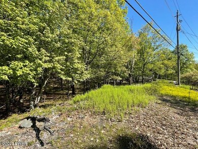 2395 Eagle Path, Lehman Township, PA 18324 - photo 4