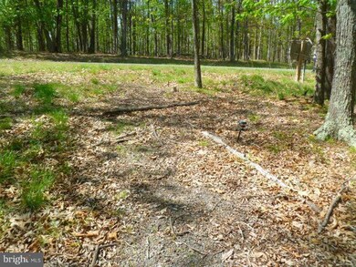 15 Edward Kidwell Rd Noland Rd, Slanesville, WV 25444 - photo 6