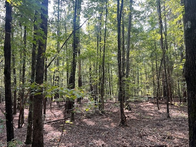 U S 76, Honea Path, SC 29654 - photo 3