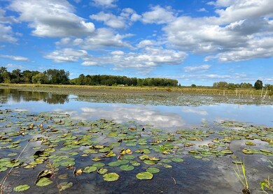 5001 N Richmond Rd, Pierpont, OH 44082 - photo 4