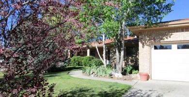 Front View 2