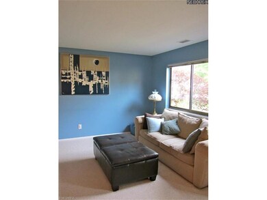 Spacious light and bright living room.