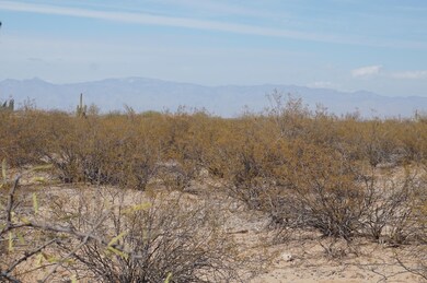 17821 S Wilmot Rd, Sahuarita, AZ 85629 - photo 4