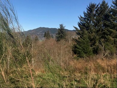 MtnView