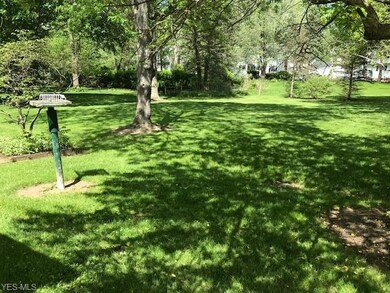 VIEW OF BACK YARD