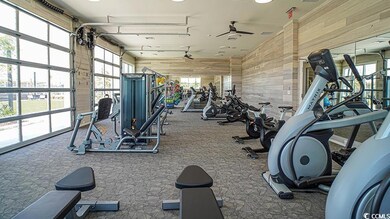 Workout area featuring wood walls, carpet, and cei