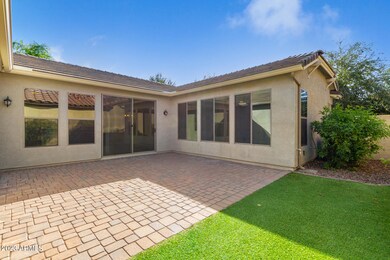 2 backyard