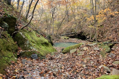 000 TBD Madison 3440, Kingston, AR 72742 - photo 5