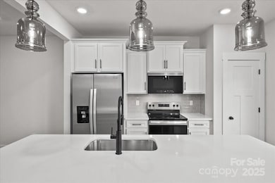 10 Moon Haven Way, Arden, NC 28704 - photo 5