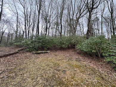 TBD Crooked Creek Ln, Fancy Gap, VA 24328 - photo 5