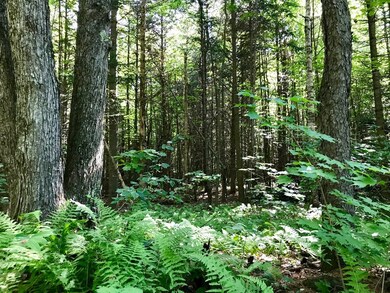 0 Hosmer Rd unit 72371306, Heath, MA 01346 - photo 3