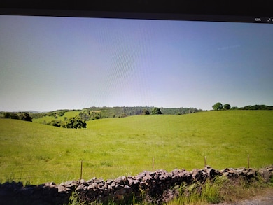 319 Laurel Dr, Jackson, CA 95642 - photo 3