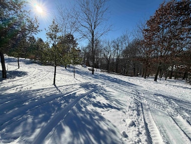 20549 Big Timber Ridge Rd, Eastman, WI 54626 - photo 6