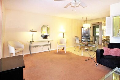 Carpet in Living Room