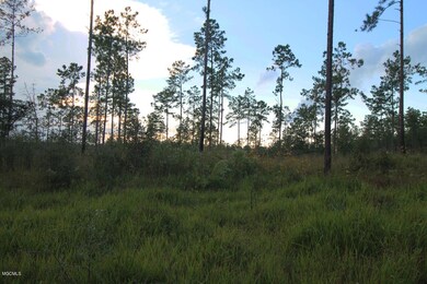 3.75 Ac Homestead Rd, Lucedale, MS 39452 - photo 3