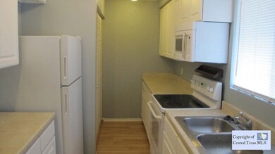 203 S Mitchell St unit 2, San Marcos, TX 78666 - photo 5