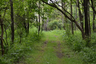 DSC_3425
