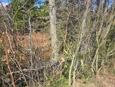 00 Valley Rd unit 6, Jefferson, NH 03583 - photo 6