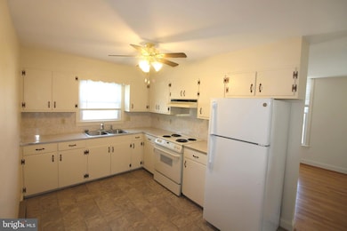 303 Shenandoah Ave unit 4, Edinburg, VA 22824 - photo 4