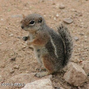 1758 E Cinnabar Ave, Phoenix, AZ 85020 - photo 5