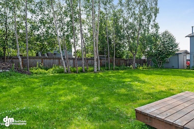 Backyard 2910-SMALL