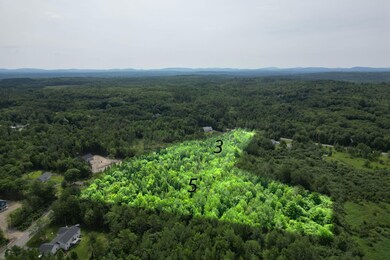 Lots 3 & 5 Grant Rd, Orono, ME 04473 - photo 4