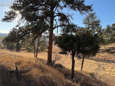 71 Elkhorn Cir, Florissant, CO 80816 - photo 3