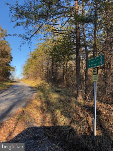 0 Swaim Ln unit WVMO108558, Berkeley Springs, WV 25411 - photo 2